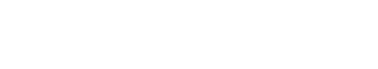 Martin Schleske Logo