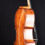 Cello Op.332 aus Kauri Holz
