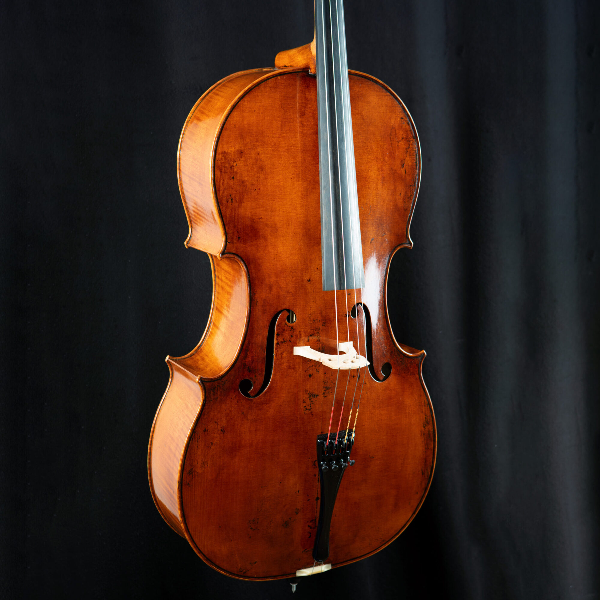 Schleske Cello Op.317
