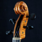 Schleske Op.345 Schnecke von vorne