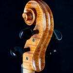 Schleske Op.345 Schnecke von hinten