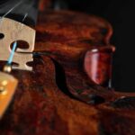 Top of a violin