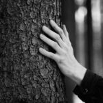 Eine Hand auf der Rinde eines Baumstamms